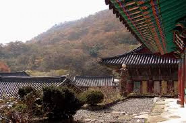 Songgwangsa Trip Packages