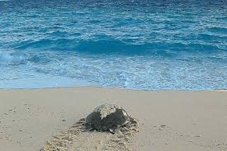 South Sentinel Island Trip Packages