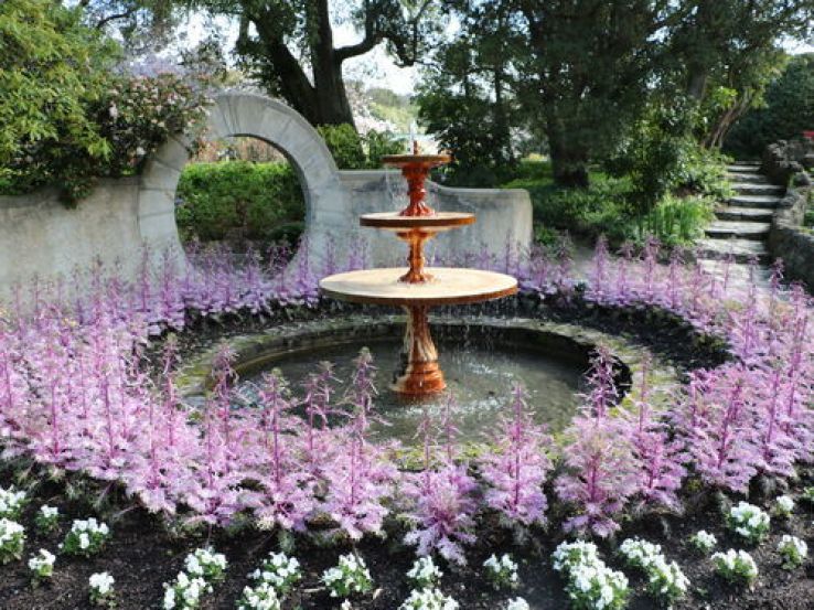 Oamaru Public Gardens Trip Packages