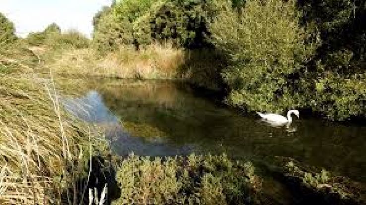 Harts Creek Trip Packages