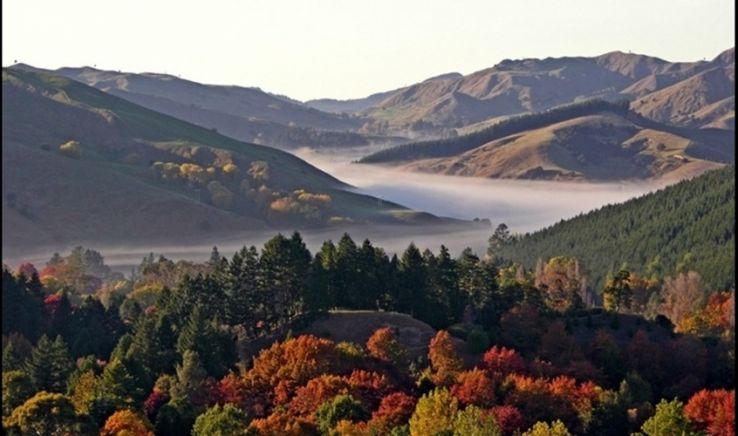 Gisborne Trip Packages