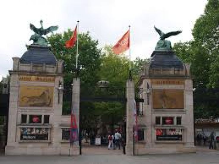 Antwerp Zoo Trip Packages