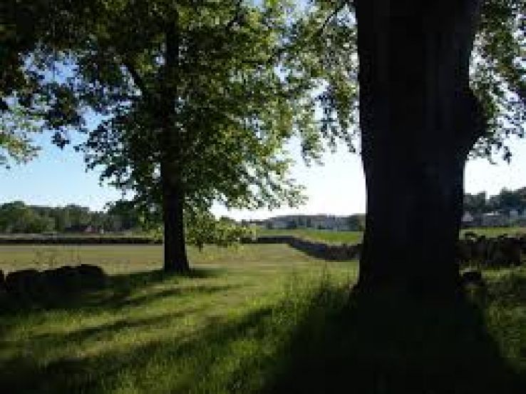 Gokstad Mound Trip Packages