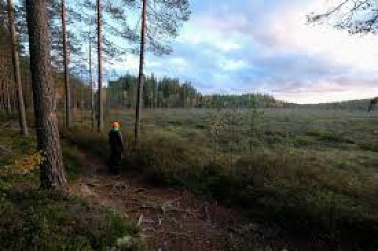 Seitseminen National Park Trip Packages