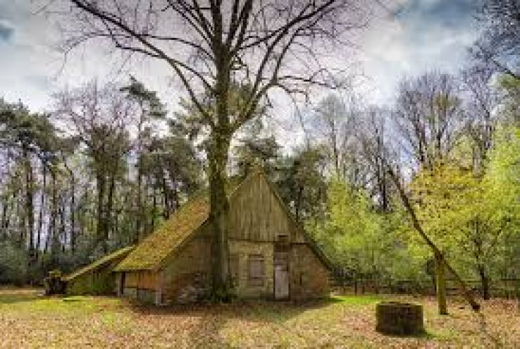 The Buurserzand Trip Packages