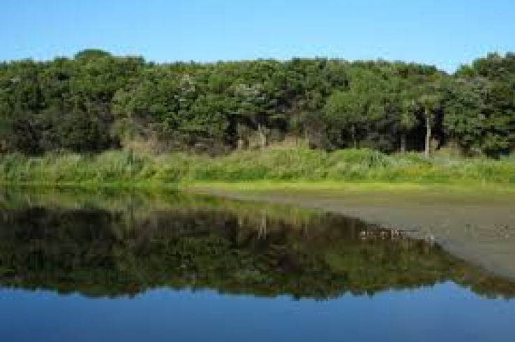 Queen Elizabeth Park Trip Packages