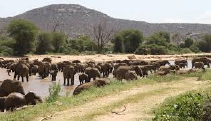 Shaba National Reserve Trip Packages