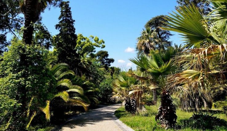 Jardin botanique de la Villa Trip Packages