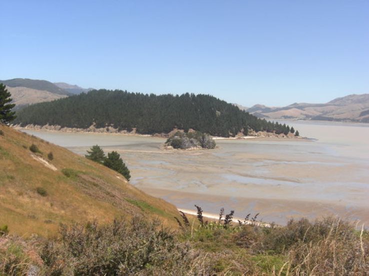 Quail Island Trip Packages