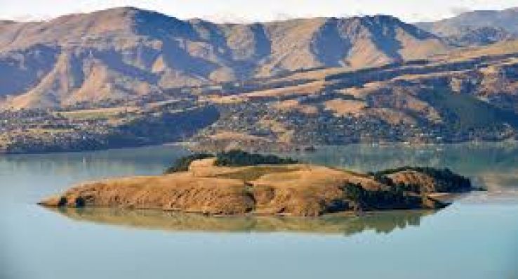 Quail Island Trip Packages