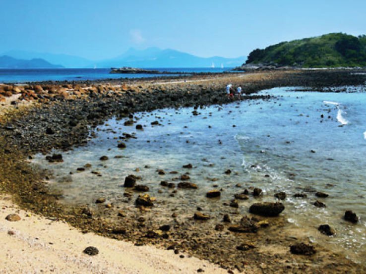 Sharp Island Trip Packages