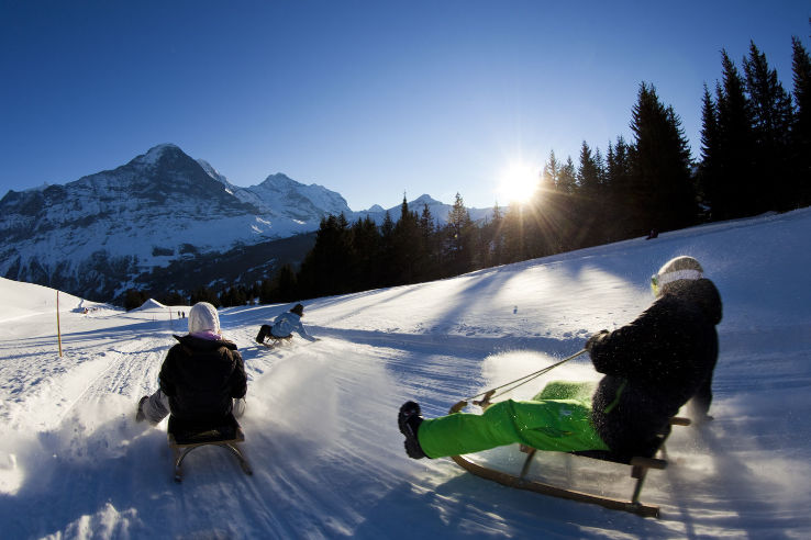 Sledging Trip Packages