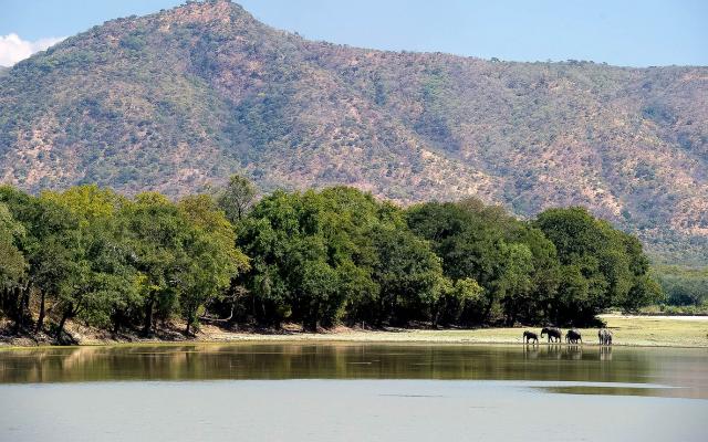 South Luangwa National Park Trip Packages