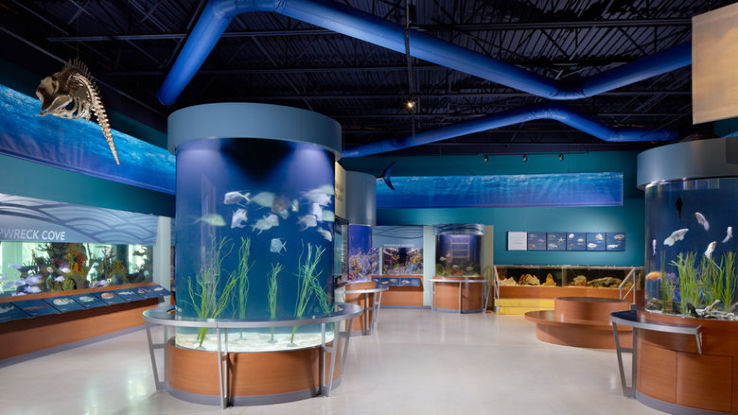 South Florida Science Center and Aquarium Trip Packages