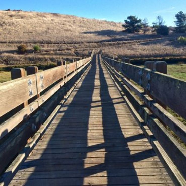 Don Edwards San Francisco Bay National Wildlife Refuge Trip Packages
