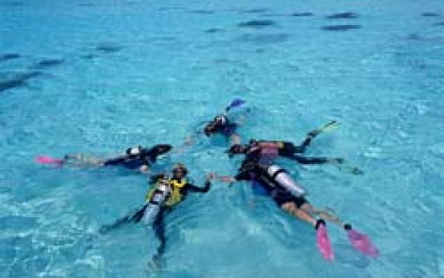 Splashing With Scuba Diving Trip Packages