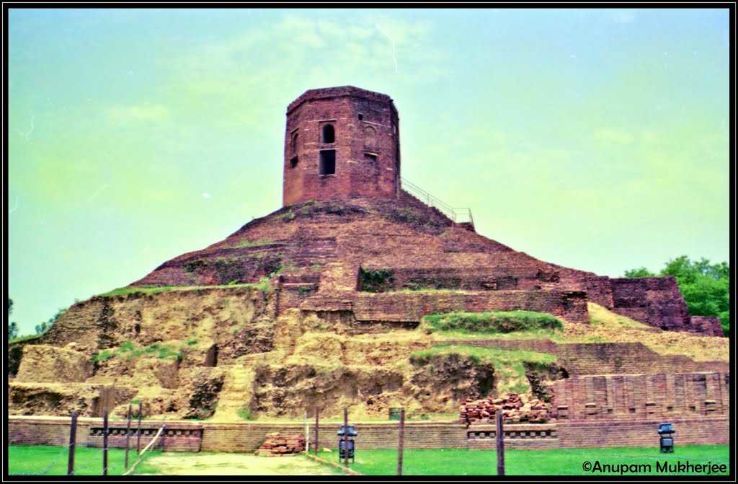 Coringa Wildlife Sanctuary, Kakinada Trip Packages