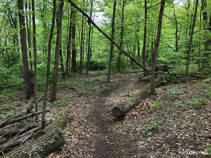 Griggstown Native Grassland Preserve  Trip Packages