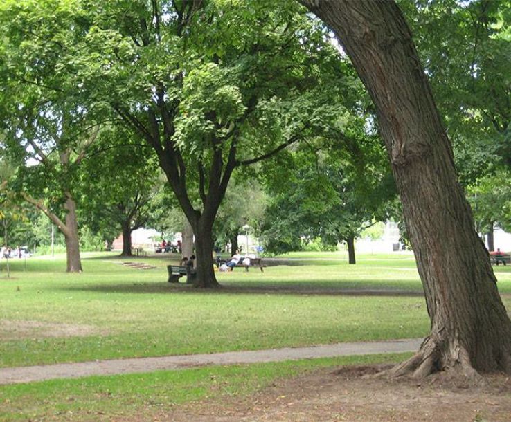 Sedgwick Park Trip Packages