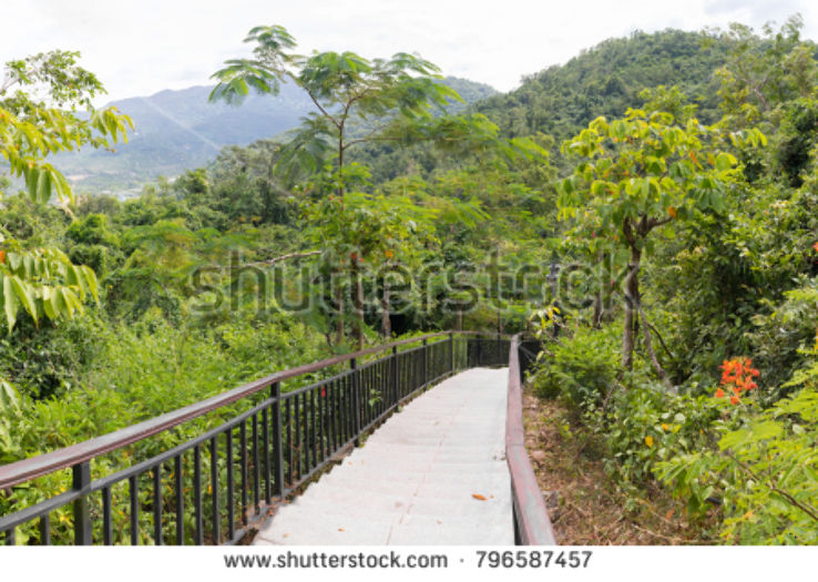 Linchunling Forest Park  Trip Packages