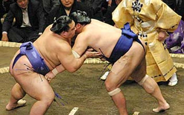 Watch Sumo Wrestling Trip Packages