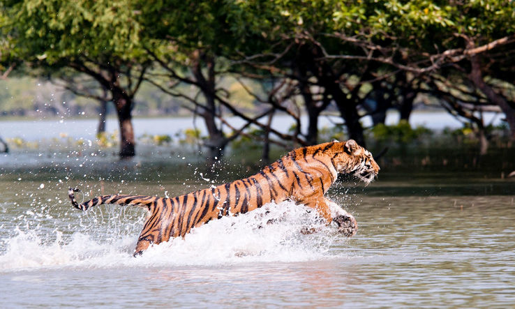 Memorable 2 Days 1 Night Kolkata and Sundarban Vacation Package