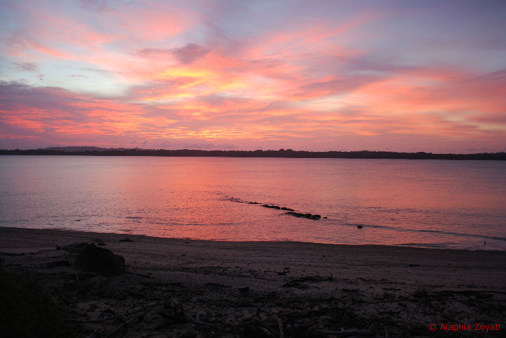 Trinket Island Trip Packages