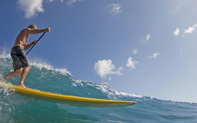 Conquer The Waves With Surfing Trip Packages