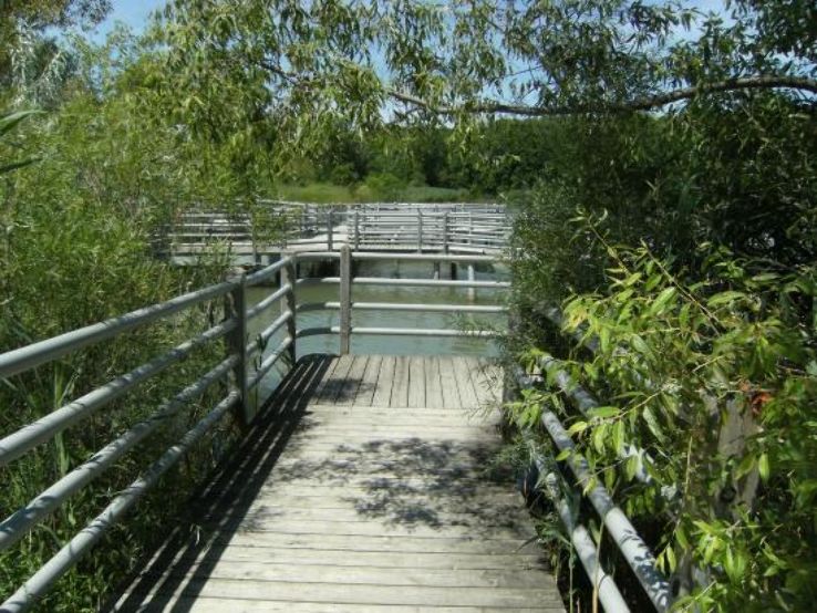 Glenridge Quarry Naturalization Site Trip Packages