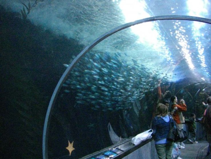 Aquarium of the Bay  Trip Packages