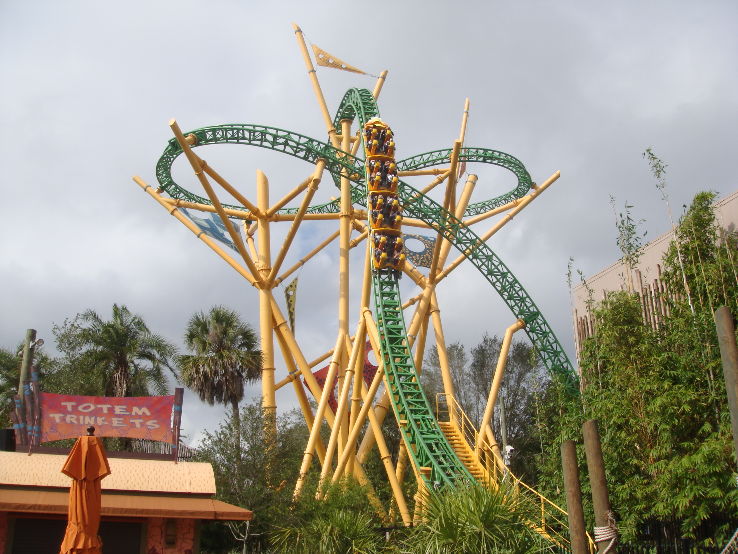 Cheetah Hunt Trip Packages