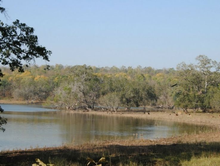 Pleasurable 3 Days Tadoba Fv Trip Package