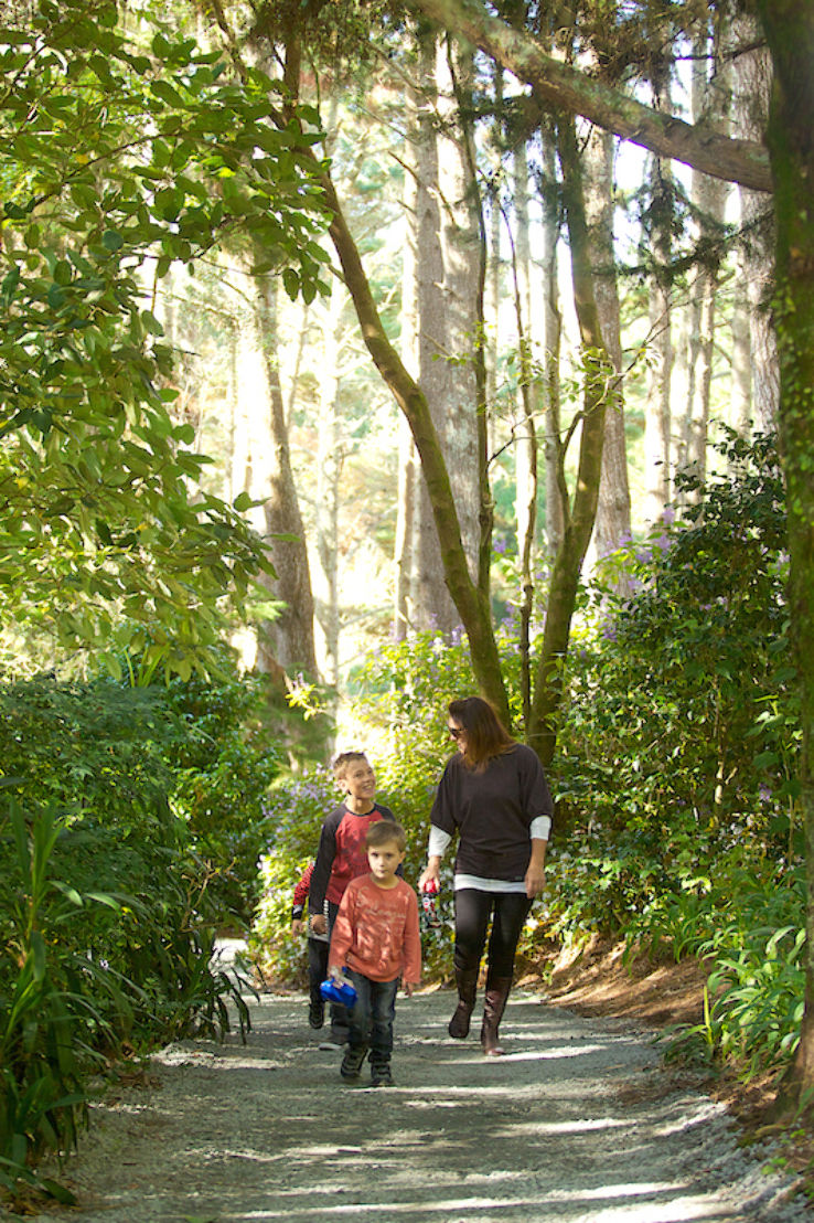 Taitua Arboretum Trip Packages Taitua Arboretum Trip Packages