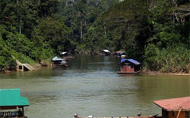 Bird Watching in Taman Negara Trip Packages