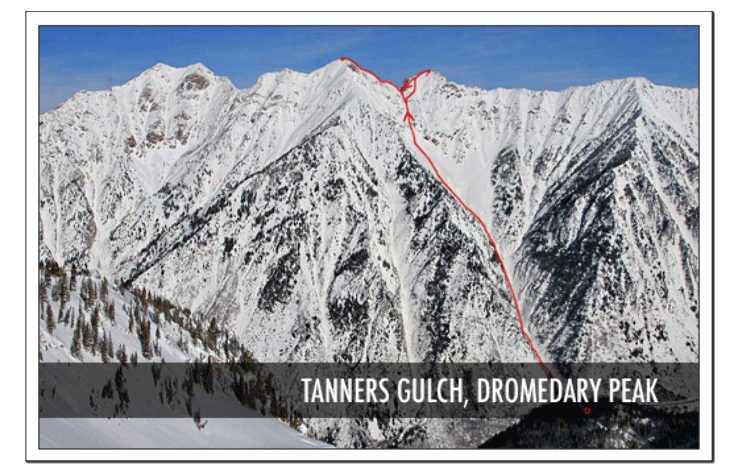 Dromedary Peak  Trip Packages