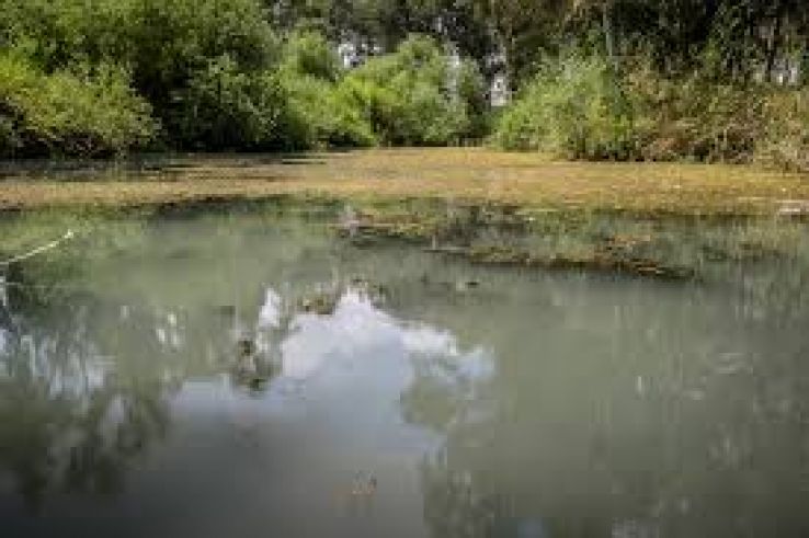 Tel Afek National Park Trip Packages