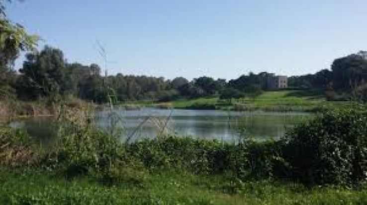 Tel Afek National Park Trip Packages