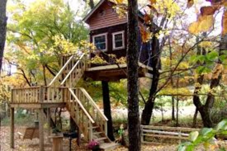 Stay in Tree house  Trip Packages
