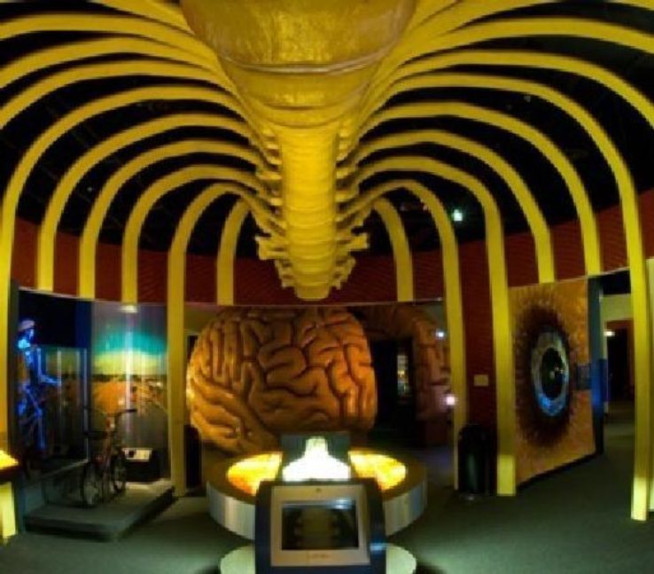 The Health Museum  Trip Packages