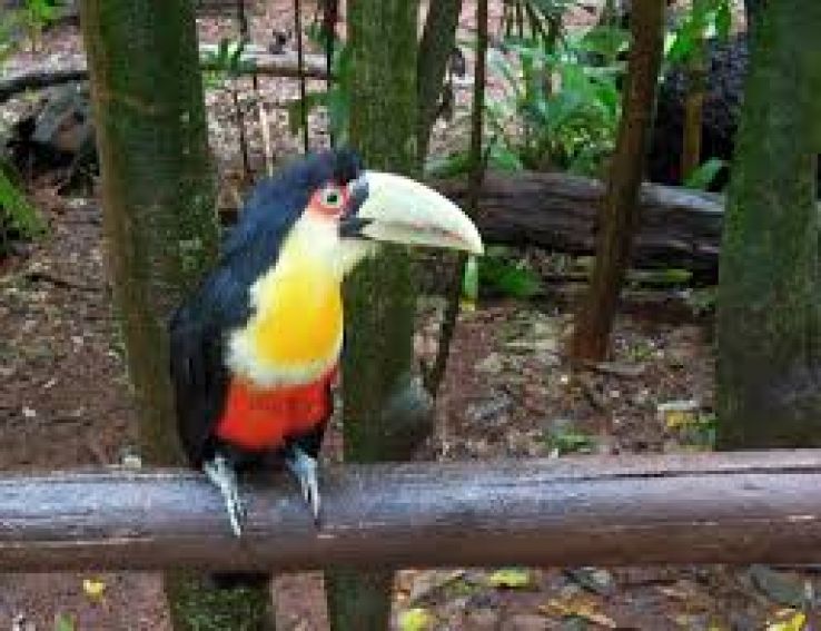 The Bird Park Trip Packages