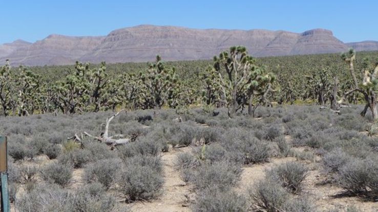  Big Horn Wild West Tours Trip Packages