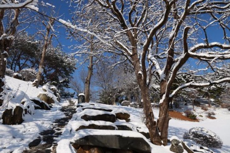 Wolmyeongdong Trip Packages