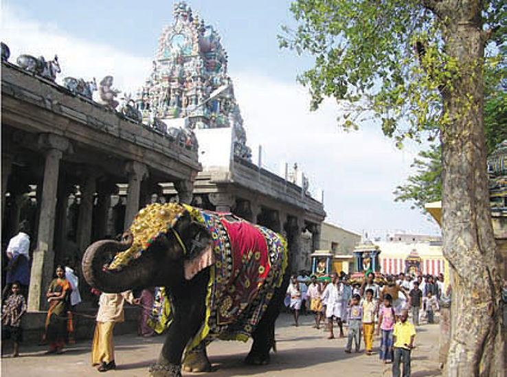 Saravana Poigai Trip Packages