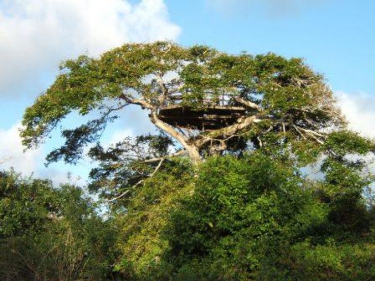 Arabuko Sokoke National Park Trip Packages