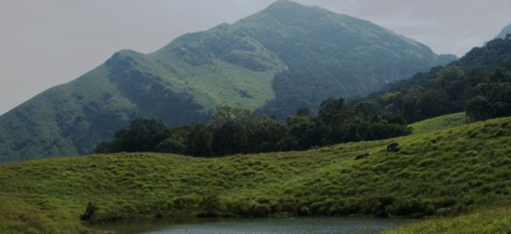 Trekking at Nilgiri Hills Trip Packages