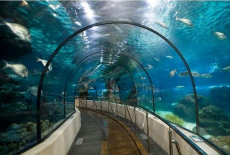 Aquarium de La Rochelle Trip Packages
