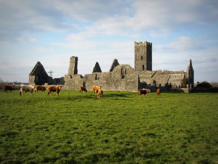 Clare Abbey Trip Packages