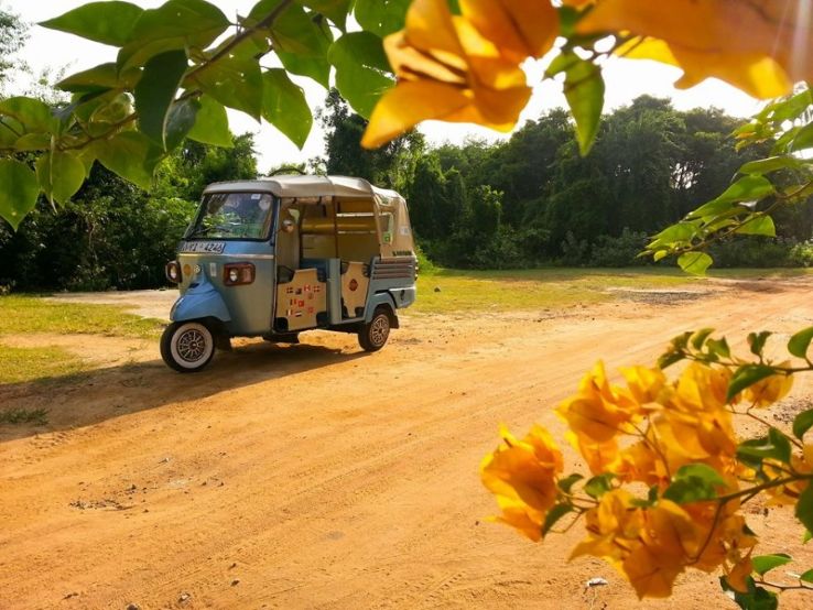 Tuk Tuk Safari Trip Packages