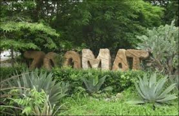 Zoologico Miguel Alvarez del Toro Trip Packages