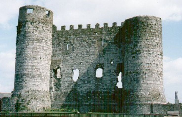 Carlow Castle Trip Packages